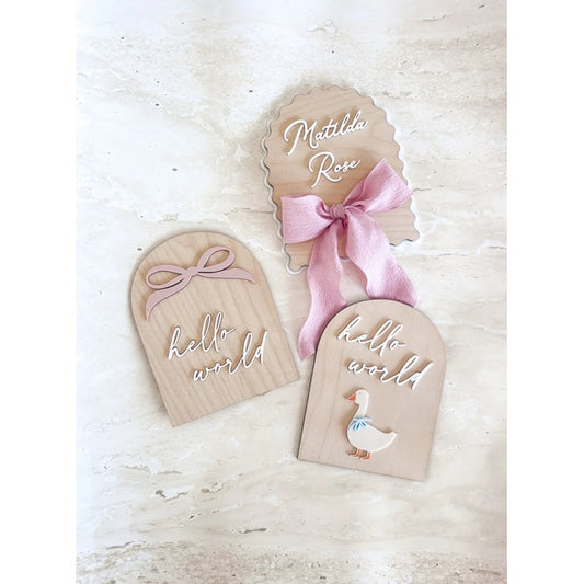 Hello World' Goose Plaque