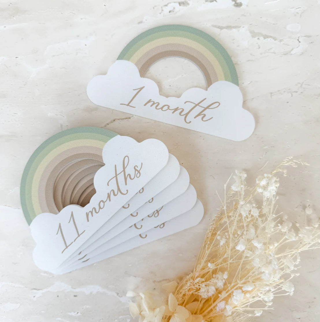 Rainbow Baby Milestone Collection